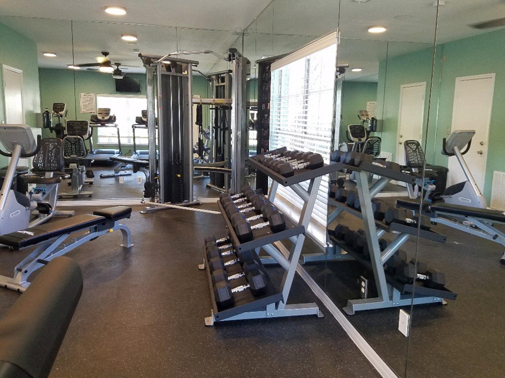 a gym with weights and other exercise equipment a gym with weights and other exercise equipment at Madison Oaks Apartment Homes, LLC, Palm Harbor, 34684