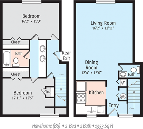 Hawthorne Floor Plan  at The Park at Chesterfield Apartment Homes, Tampa, FL