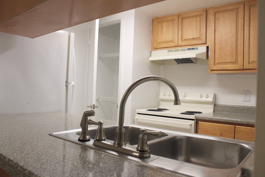 an empty kitchen with a sink and a faucet at Sunscape Apartment Homes, Tampa, 33613
