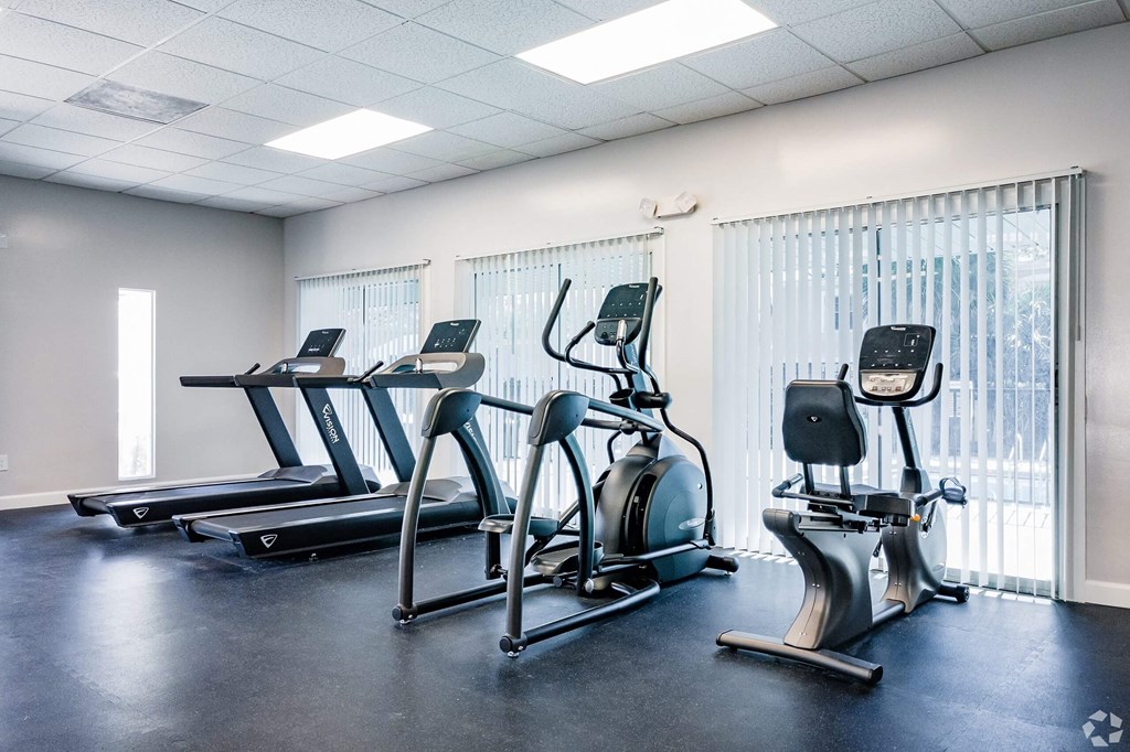 the gym has cardio equipment and treadmills  at The Park at Chesterfield Apartment Homes, Tampa, FL