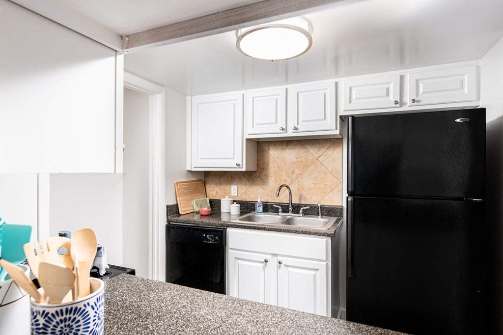 a kitchen with a black refrigerator and a sink