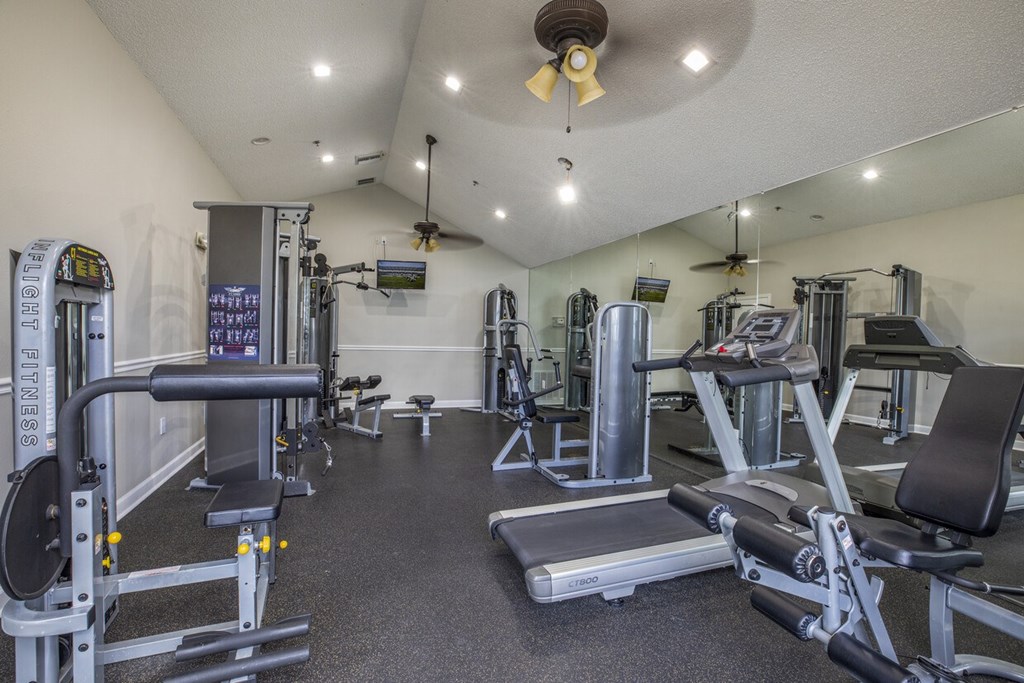 A gym with a variety of equipment including a treadmill, weights, and a bench press.