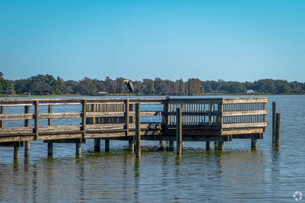 A wooden dock extends into a calm body of water with a bird perched on the railing.