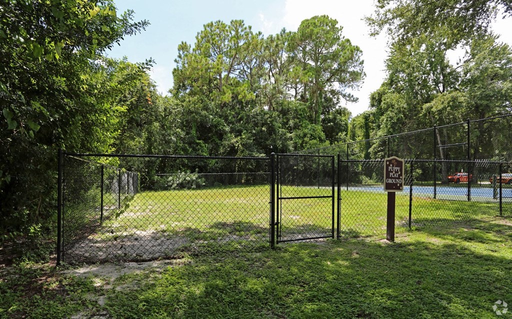 A fenced in dog park surrounded by trees