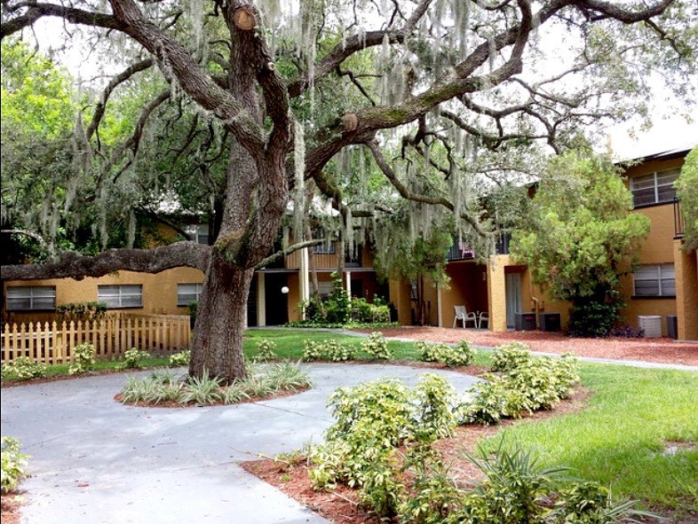 a courtyard with a tree and a building in the background at Oak Manor Apartment Homes, Tampa, FL, 33617