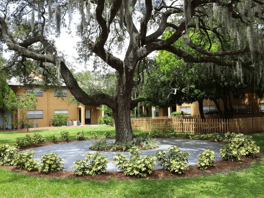 A serene courtyard view of a green space and sitting area with the community in the background.