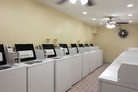 A row of washing machines are lined up in a laundromat.