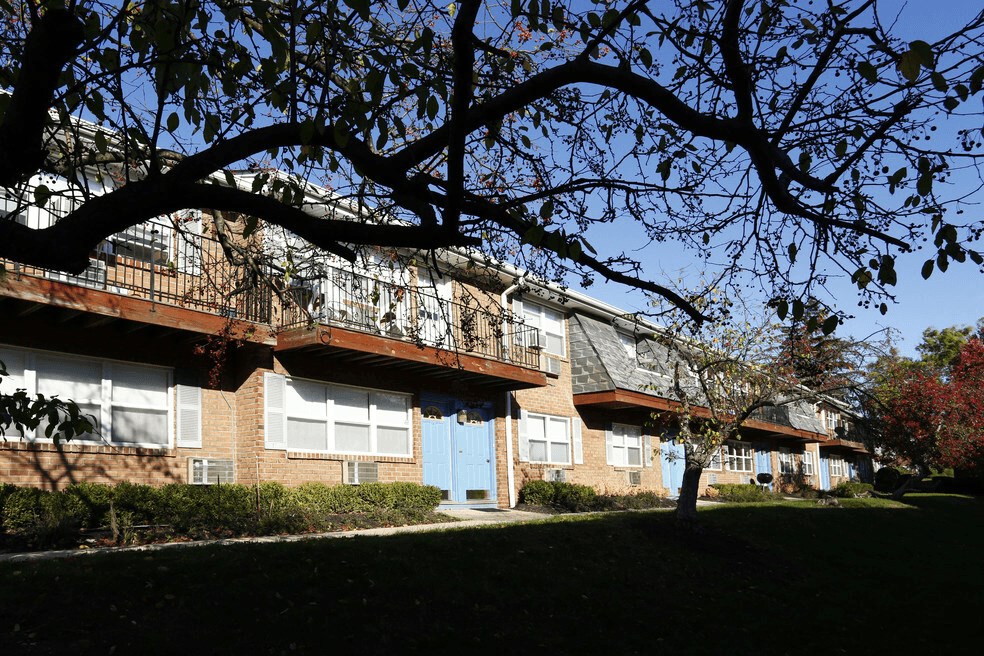 A tree with green leaves is in front of a building with blue doors.