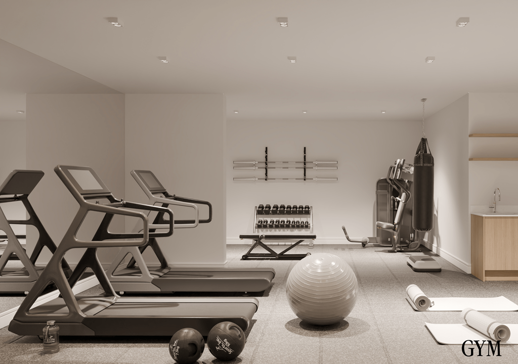 A gym with a treadmill, weights, and exercise balls.