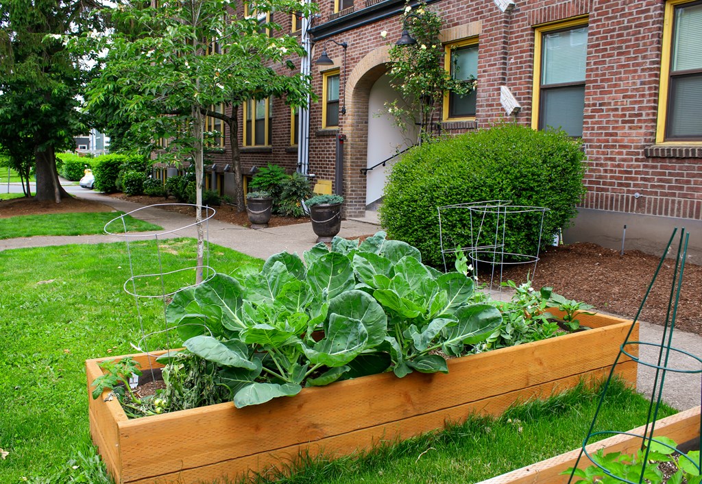 a garden in a yard in front of a brick building