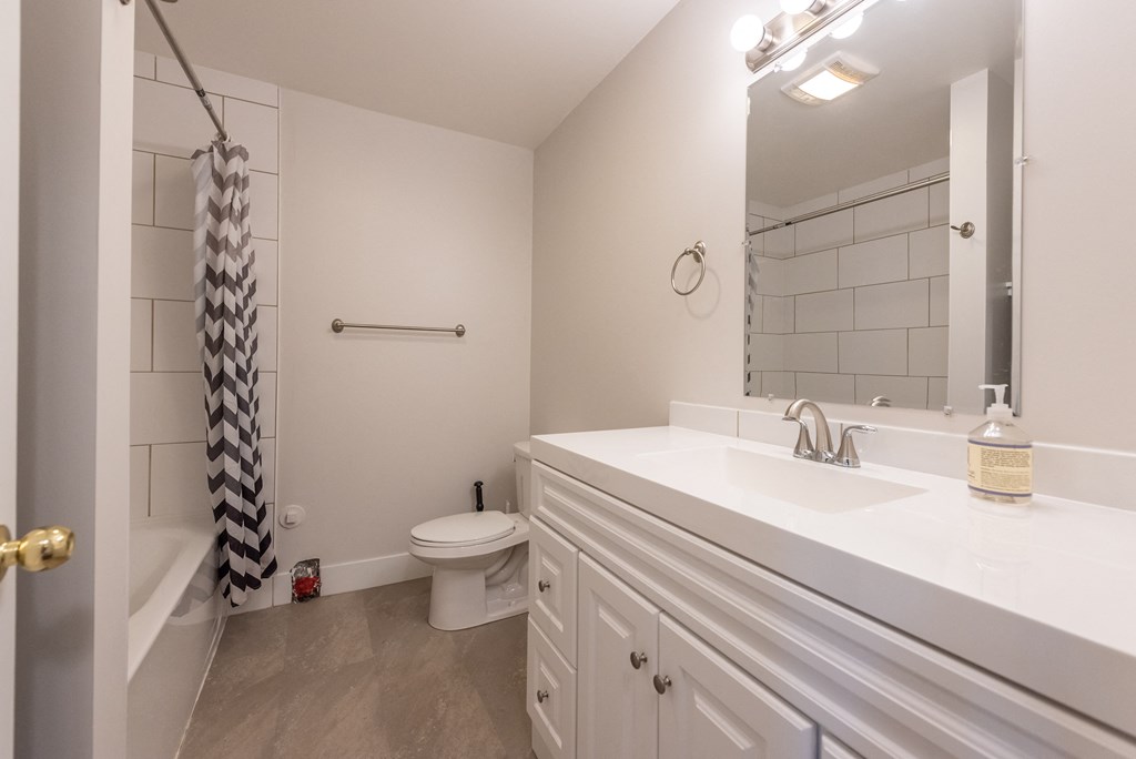 a bathroom with a sink and a toilet