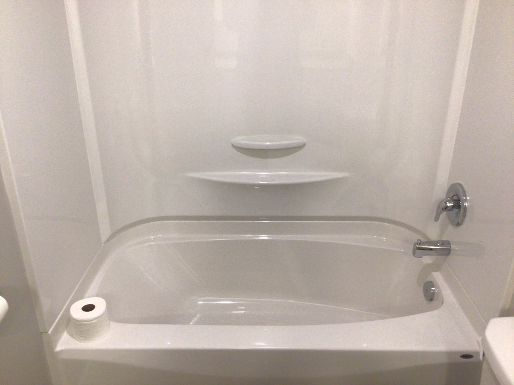 a bathroom with a toilet paper roll on the edge of the tub