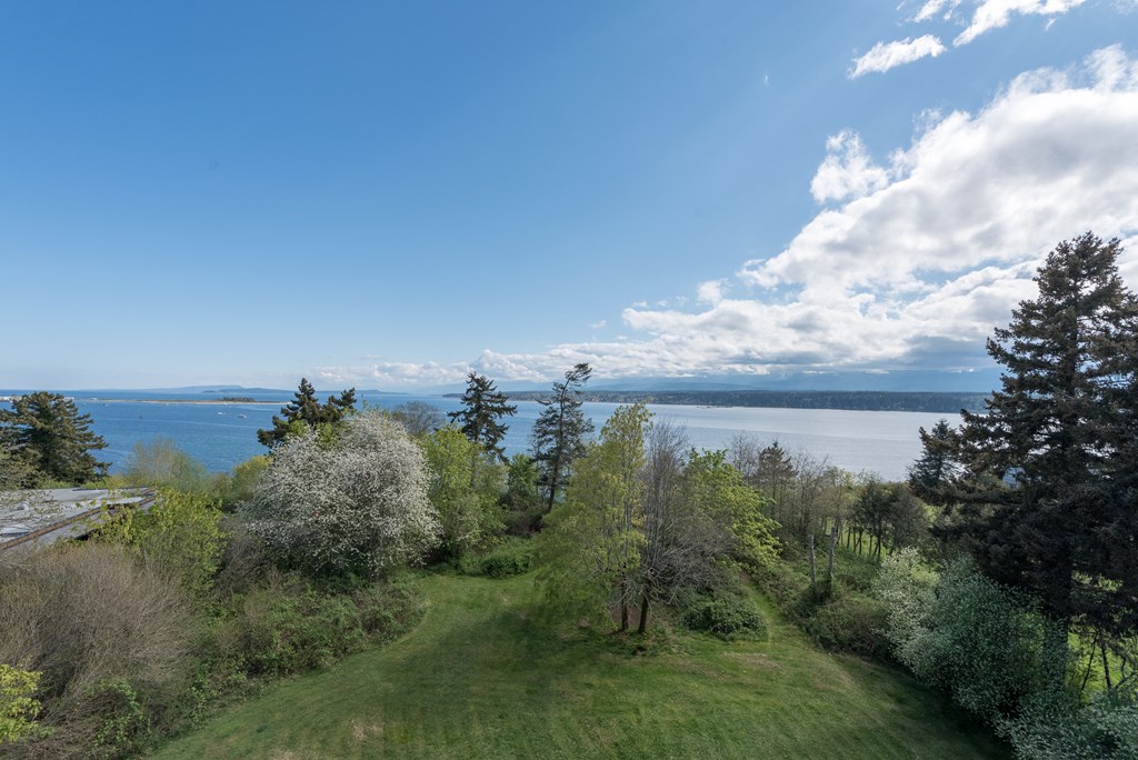 a view of the columbia river