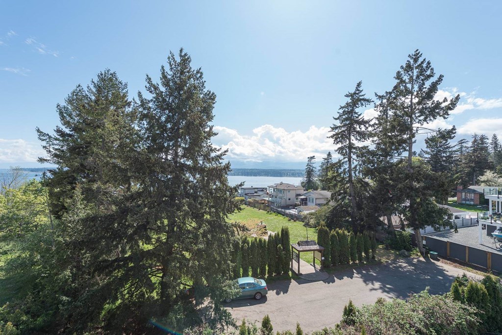 A car is parked in a driveway surrounded by trees.