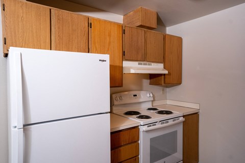 A white fridge and stove in a kitchen with wooden cabinets.
