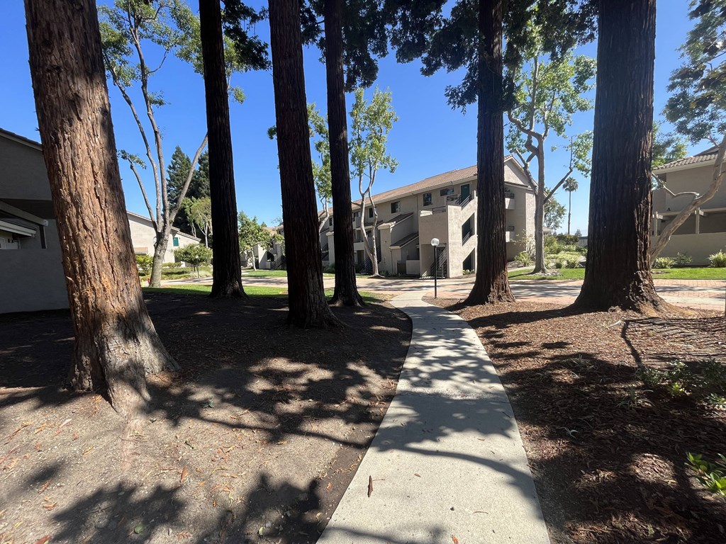 a sidewalk with trees on both sides of it
