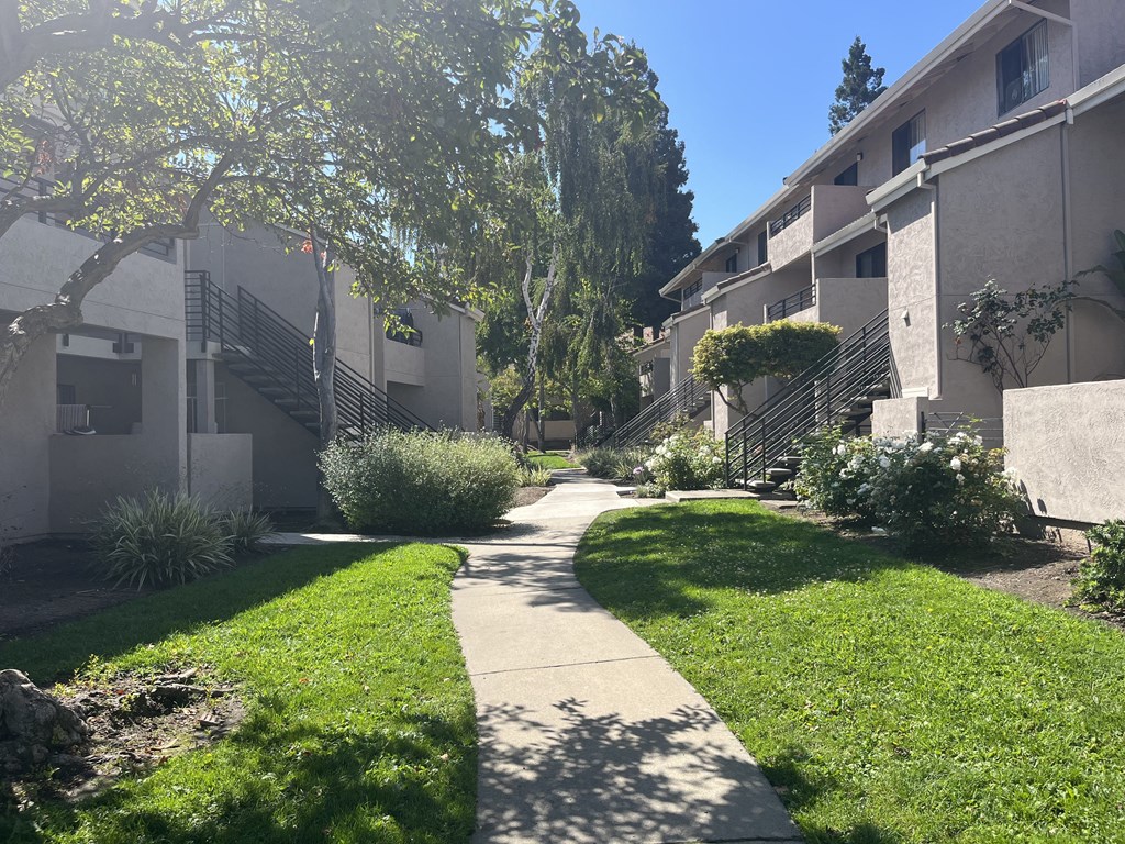 a sidewalk leads through a grassy area between two buildings