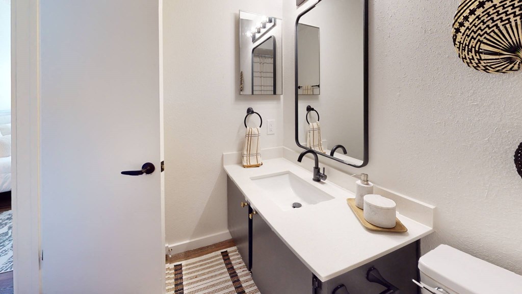 a bathroom with a sink and a mirror