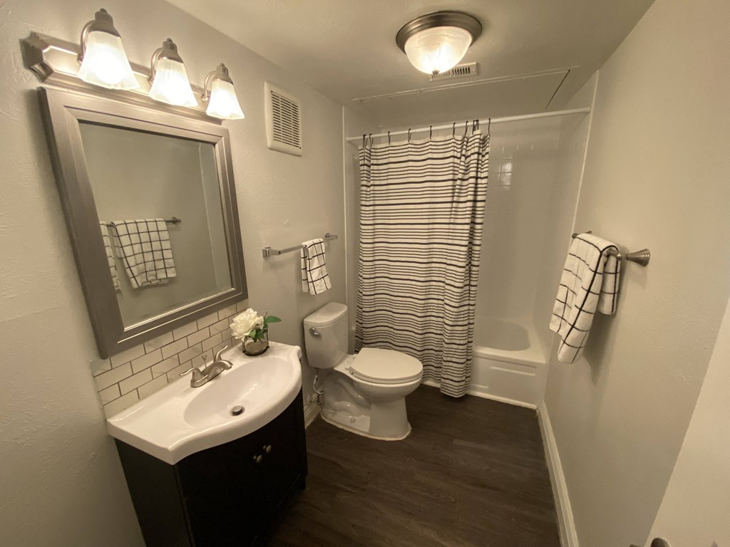 a bathroom with a toilet and a sink and a mirror