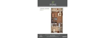 1 Bed 1 Bath Orchid Floorplan
