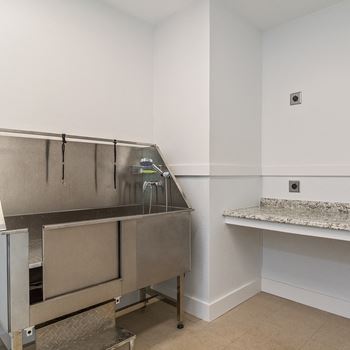 Pet spa with washing stations and counters at Heritage at Riverstone Apartments in Canton, GA