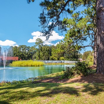 Stocked fishing pond on the property at Ascend at Savannah