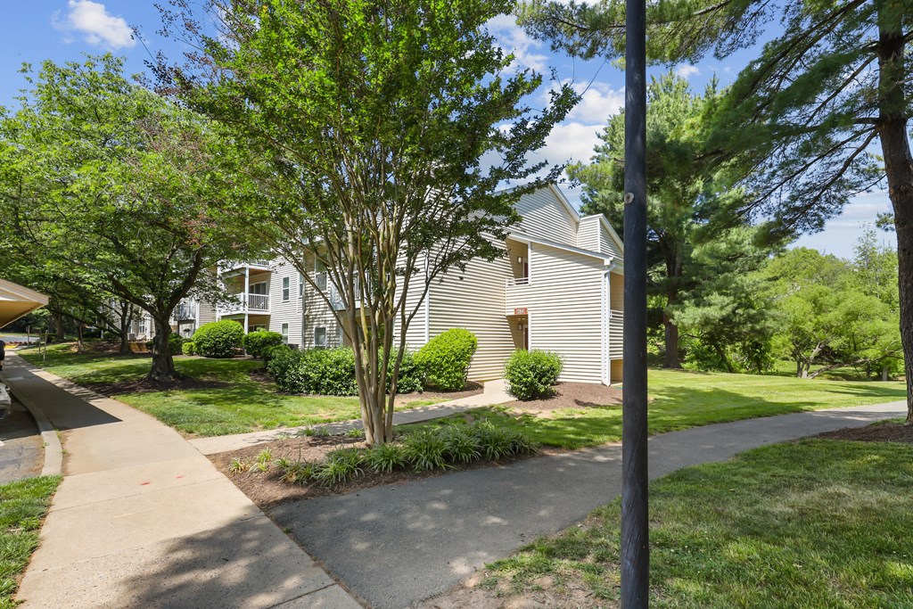 a house with a sidewalk and trees in front of it