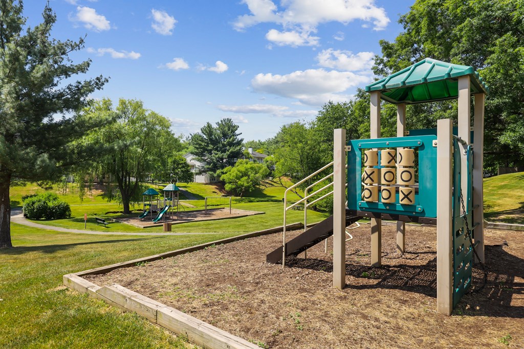a playground with a swing set and a jungle gym