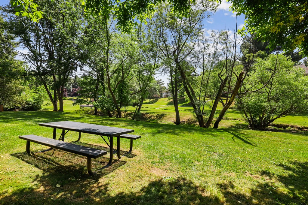 a picnic table and bench in a park