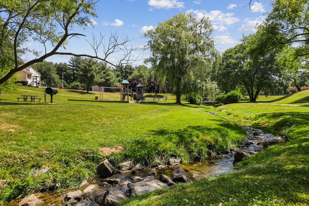 a stream flows through a park with a playground in the background
