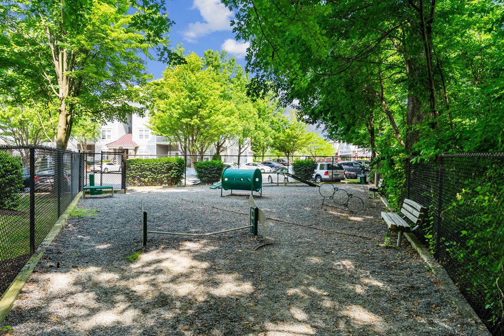 a dog park with trees and a bench