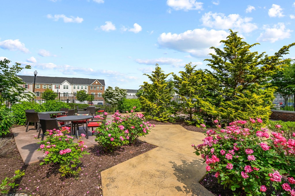 a patio with a table and chairs and pink flowers