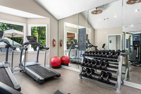 the gym at the enclave at woodbridge apartments in sugar land, tx