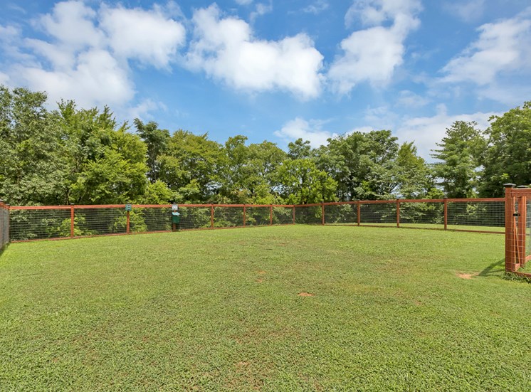 Forest Pointe fenced in dog bark park