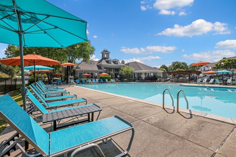 our apartments showcase a swimming pool