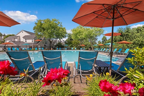 A poolside scene with red umbrellas and blue lounge chairs.