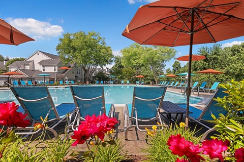 a pool with lounge chairs and umbrellas