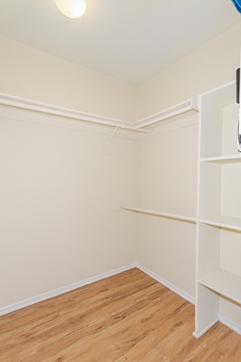 Walk-in closet with built-in shelving at Springwoods at Lake Ridge - Photo Gallery 25