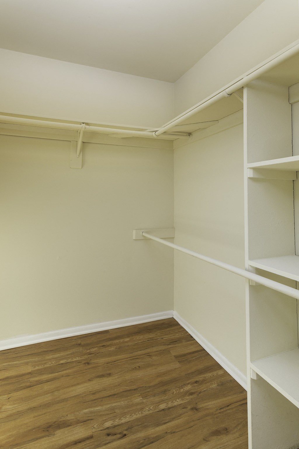 Walk-in closet with built-in shelving at Windsor Park in Woodbridge, VA