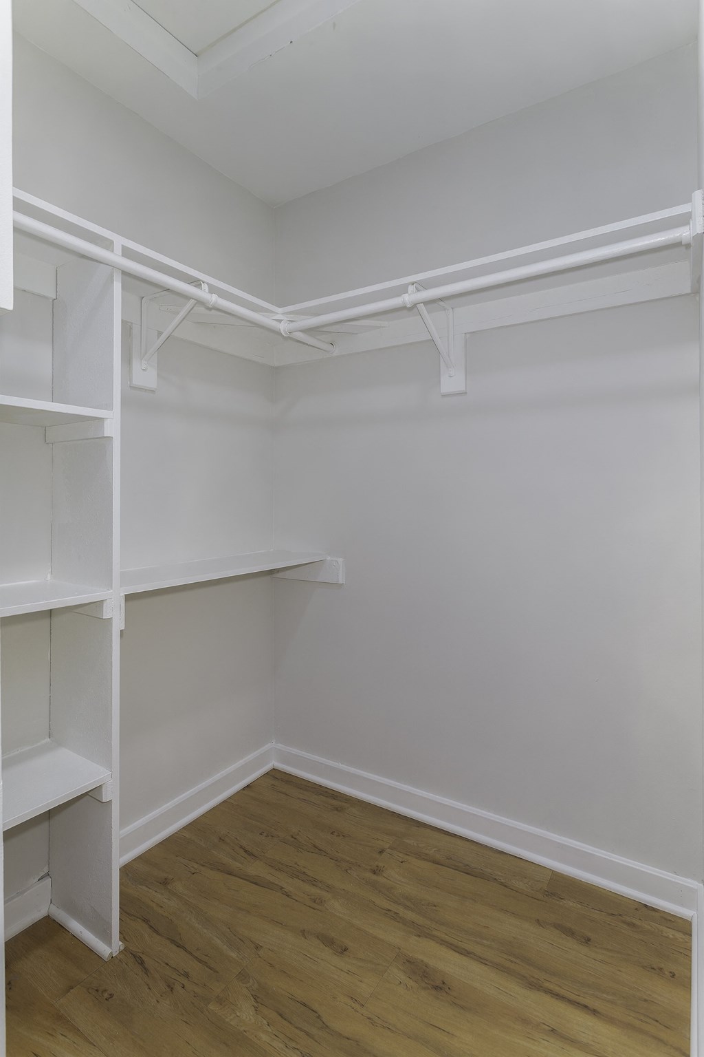 Walk-in closet with built-in shelving at Windsor Park in Woodbridge, VA