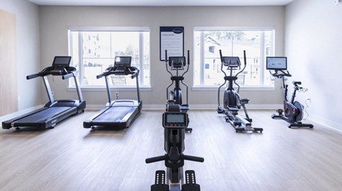 Fitness center with cardio equipment and natural light at The Maxwell Apartments, Rome, GA