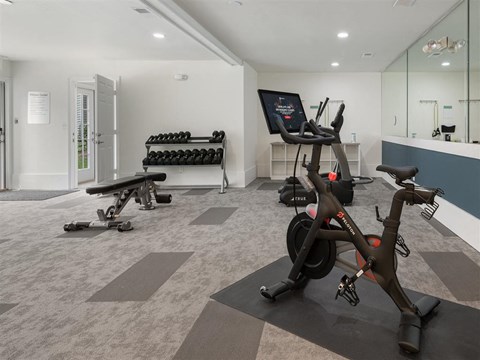 24-hour premium fitness center with exercise equipment, wide mirrors, soft flooring, and high ceiling at Chace Lake Villas apartments in Birmingham, AL 24-hour premium fitness center with exercise equipment, wide mirrors, soft flooring, and high ceiling at Chace Lake Villas apartments in Birmingham, AL