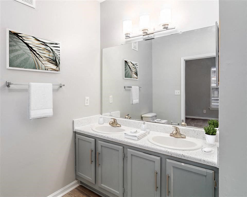 Bathroom  at the Astoria apartments in Mobile, AL