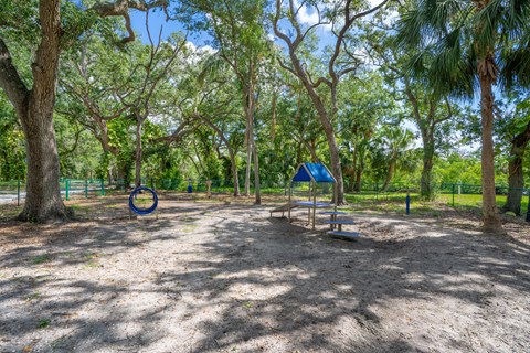 A playground with a swing set and a blue ring in the middle of the sand.