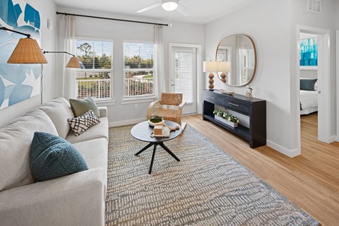 A living room with a white couch and a grey rug.