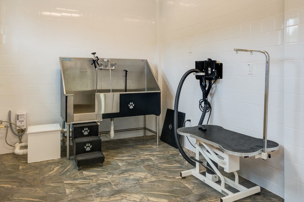 Pet spa with dog washing station at Liberty Mill in Germantown, MD