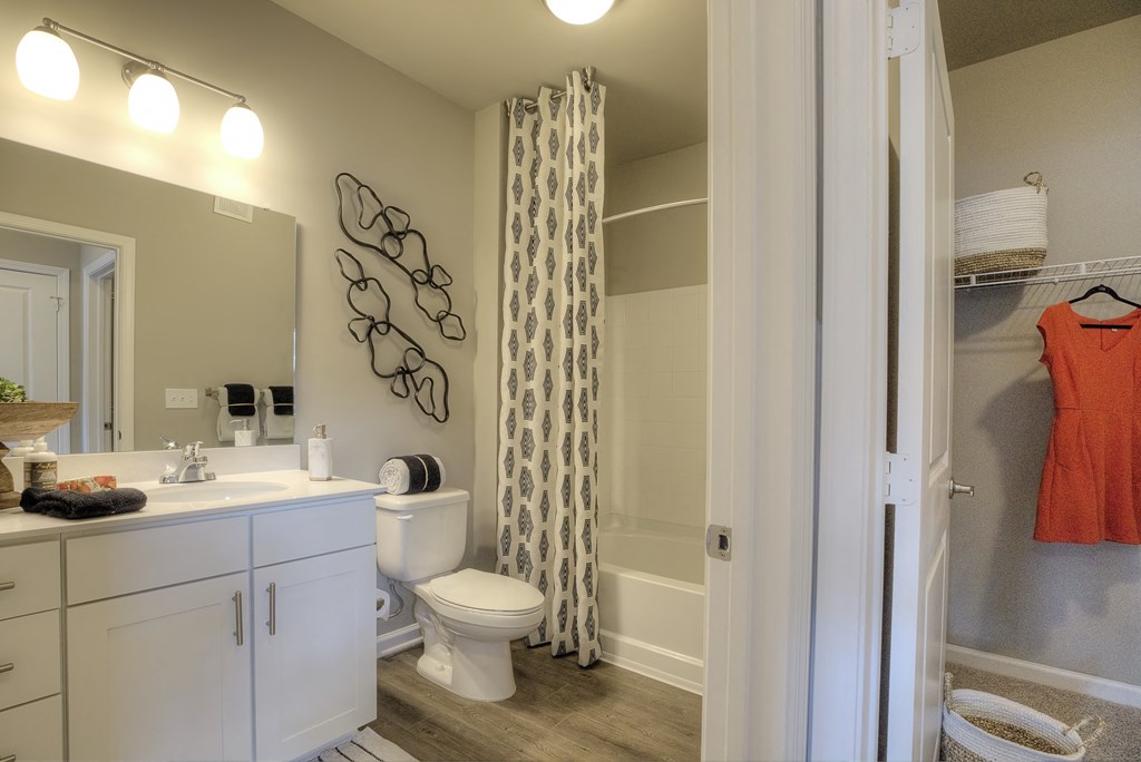 Model bathroom with wide vanity, toilet, and shower/tub next to walk-in closet at Lullwater at Blair Stone