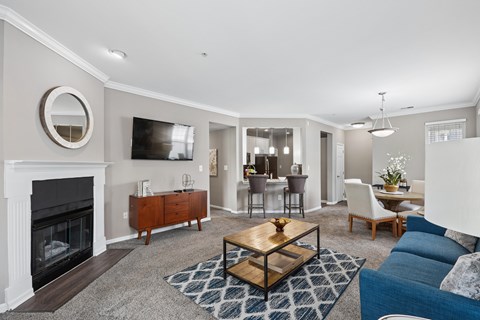 A living room with a fireplace and a television.