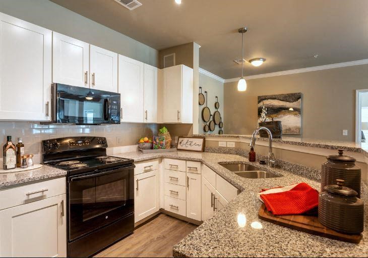 Kitchen with granite countertops and energy-efficient appliances at Lullwater at Blair Stone apartments for rent