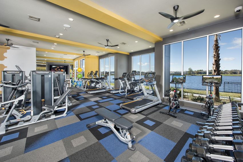 24-hour premium fitness center with strength and cardio equipment at Ravella at Town Center in Jacksonville, FL - Photo Gallery